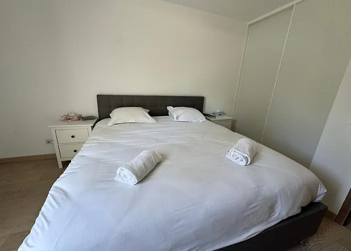 Le Palmier Apartman Annecy